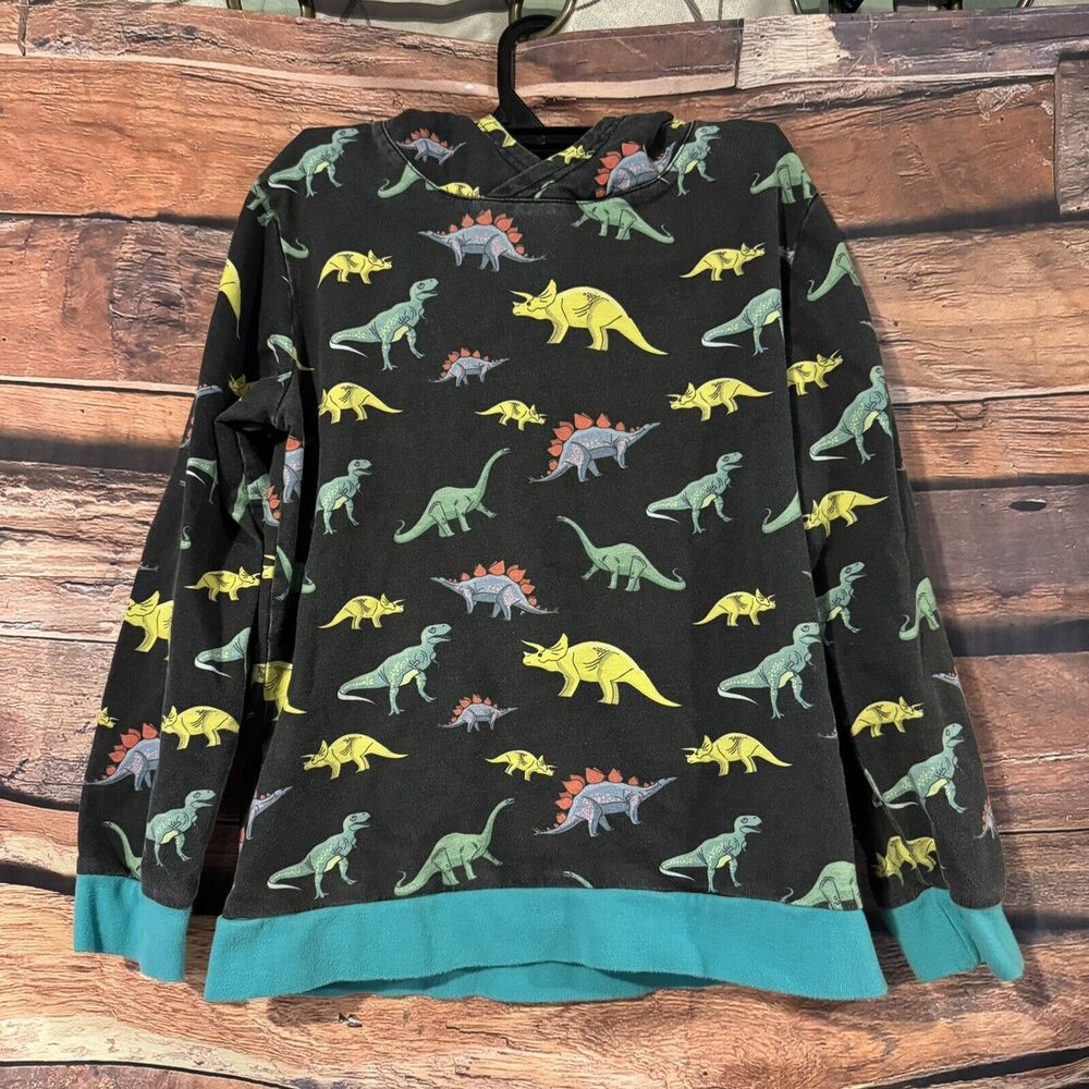 High Five Crew Dinosaur Hoodie Boys 9/10 Long Sleeve Sweatshirt Hooded Pullover